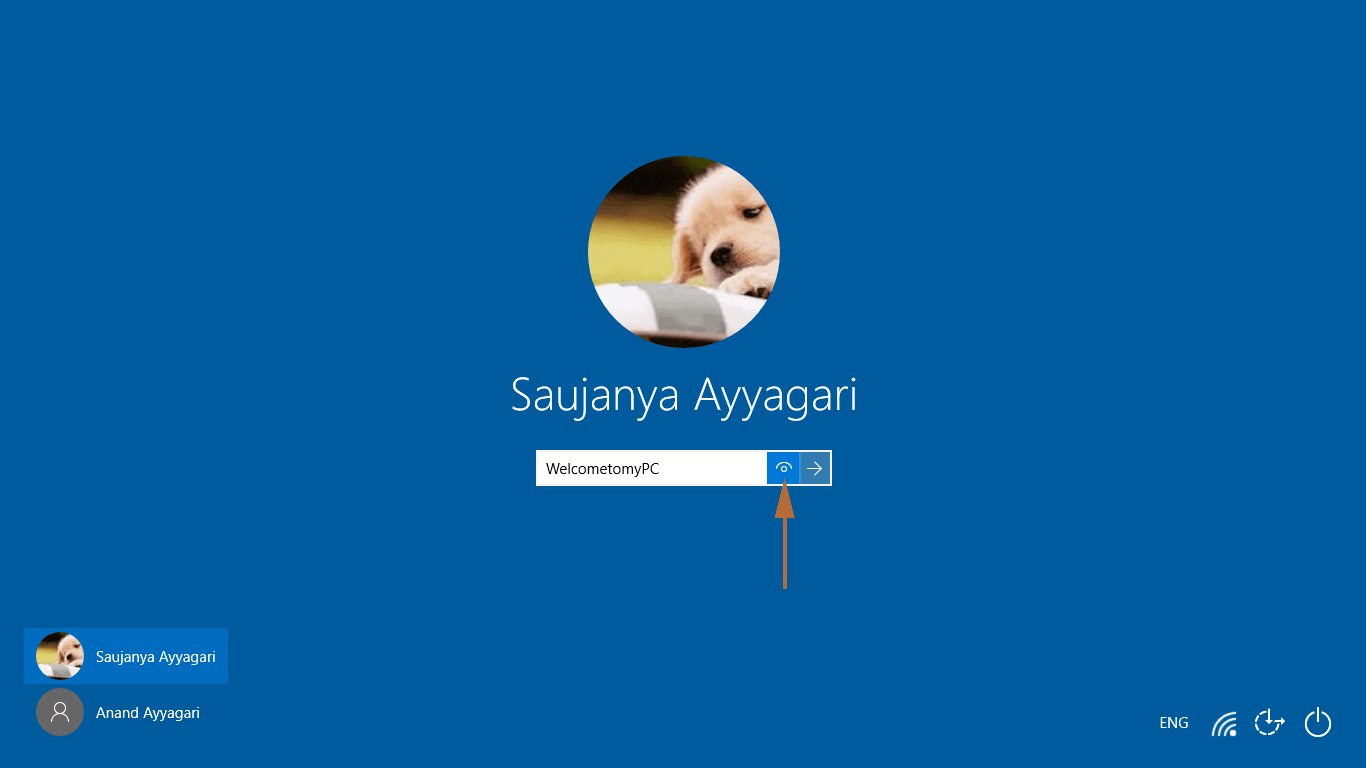 Remove Password Showing Icon from Windows 10 Login Screen