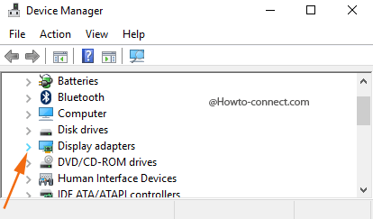 Expand Display adapter Device Manager