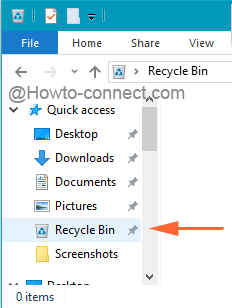 Recycle Bin pinned to Quick access