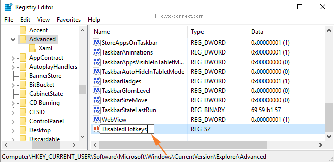 String Value DisabledHotkeys