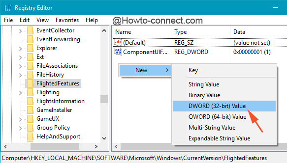 New DWORD Value under FlightedFeatures subkey