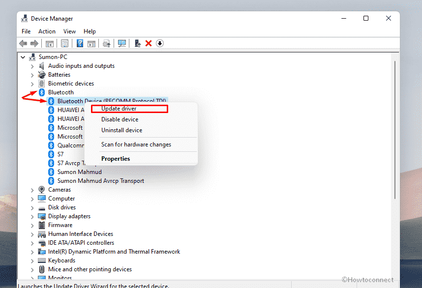 Bluetooth not working in Windows 11 - Update driver