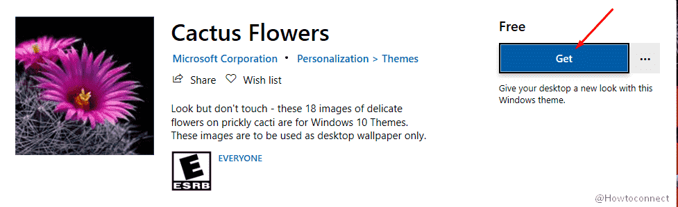 Cactus Flowers theme for Windows 10