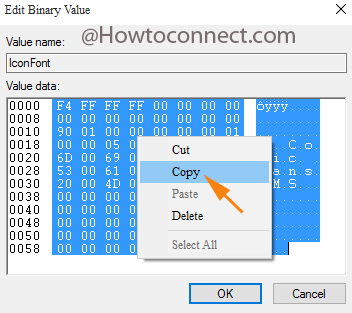 Copy Binary Value of IconFont in Registry Editor