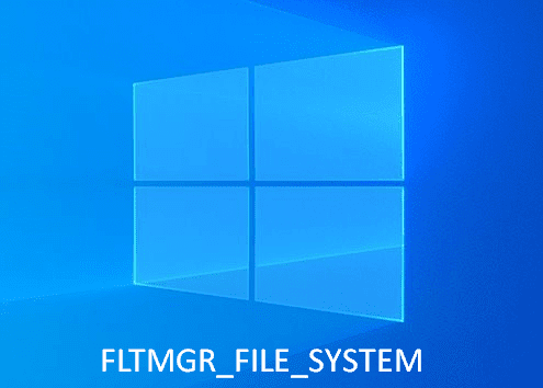 FLTMGR_FILE_SYSTEM