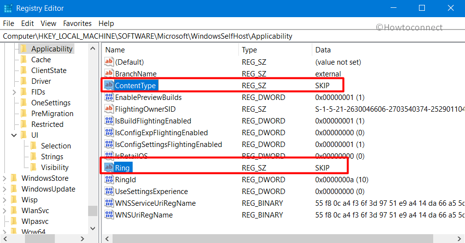Get 19H2 Skip Ahead Builds in Windows 10 Pic 2
