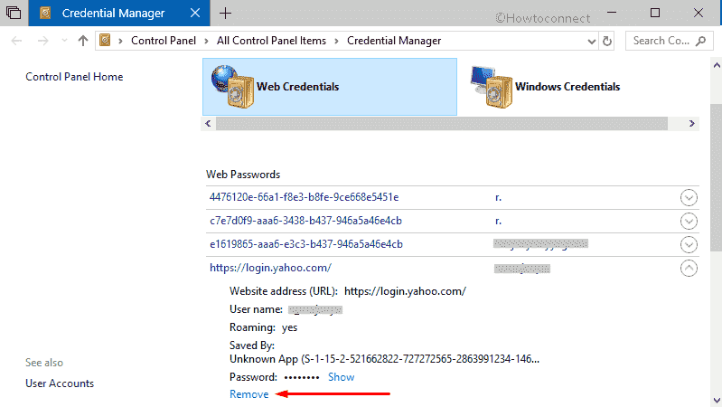 How to Use Credential Manager in Windows 10 Pic 3