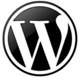 Important Tips for New WordPress users