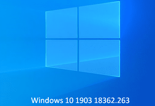 KB4505903 Windows 10 1903 18362.263