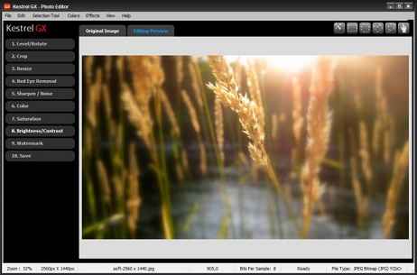 kestrel gx photo editor software