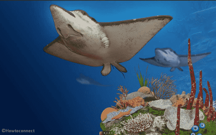 Remix 3D Ocean Life Theme for Windows 10 image 1