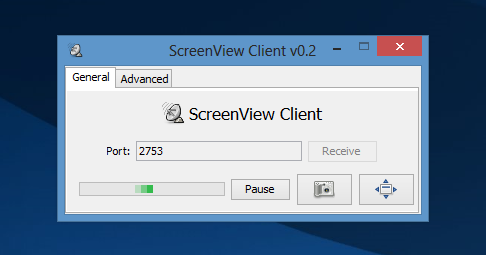 screenviewer client application