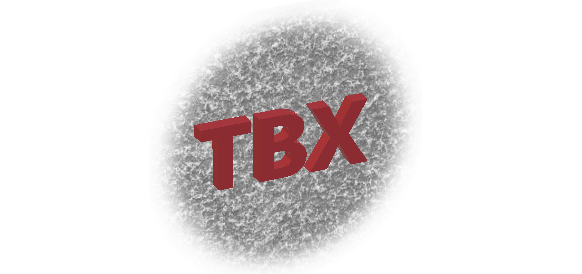 TBX file type