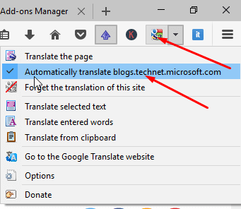 Translator Addon for Firefox Displaying Translated Text on Same Page photo 3