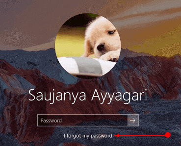 Use 'I forgot my password' from Login Screen Windows 10 picture 1