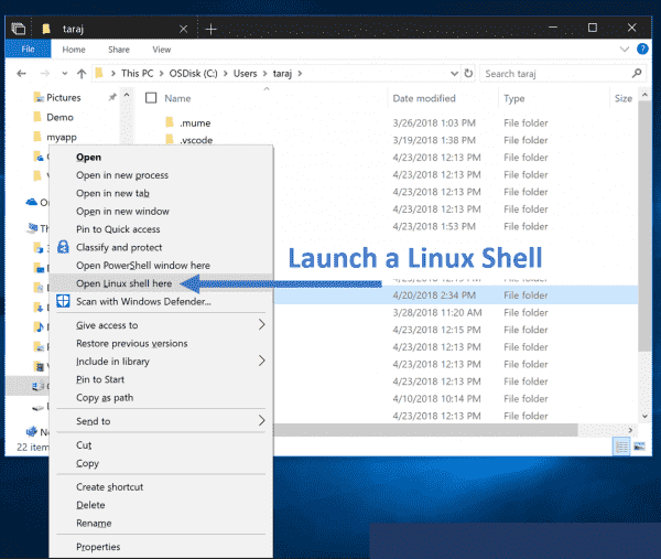 WSL for Windows 10 October 2018 Update Version 1803 Details image 1