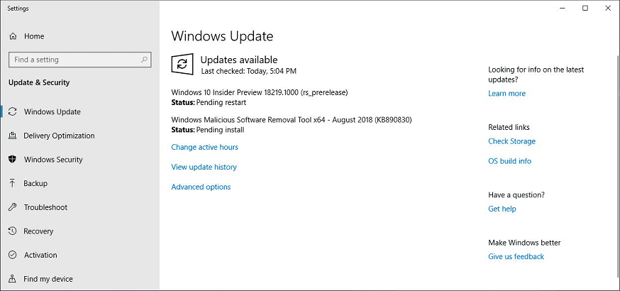 Windows 10 Build 18219