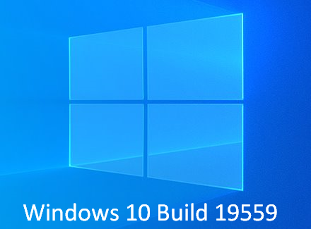 Windows 10 Build 19559