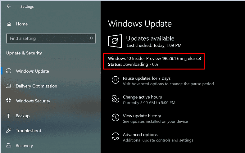 Windows 10 Build 19628 20H2