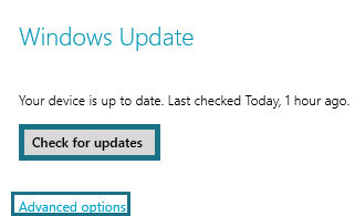 advance option link in windows update