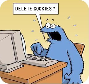 How to Manage Cookies on Chrome, Firefox, IE, Opera, Safari