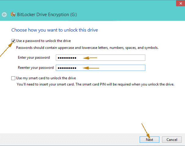 choose-how-you-want-to-unlock-this-drive password method
