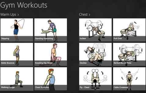 gym workout windows 8 app