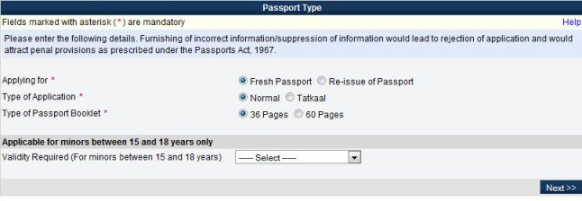 online passport form