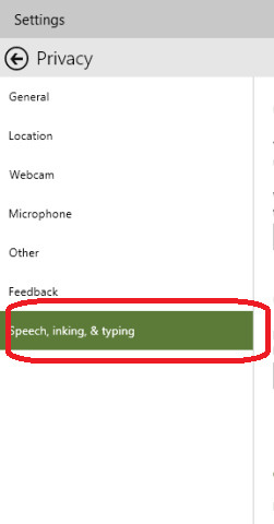 privacy inking and typing option
