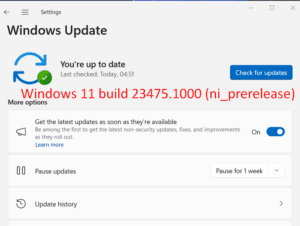 Windows 11 Build 23475.1000 (ni_prerelease) For Dev Insider