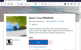 Beach Time PREMIUM Windows 10 Theme [Download]