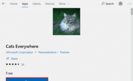 Cats Everywhere Theme for Windows 10 (Download) image 3