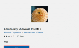 Community Showcase Insects 3