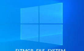 FLTMGR_FILE_SYSTEM