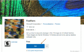 Feathers Windows 10 Theme [Download] - Image 1