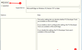 How to Allow or Block F12 Developer Tool On Microsoft Edge image 2