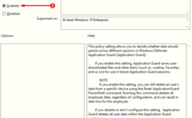 How to Enable Data Persistence for Microsoft Edge in Application Guard Windows 10 Picture 2