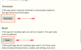 How to Terminate Reset, and Repair Microsoft Edge image 3