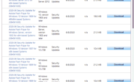 KB4561600 Adobe Flash Player Update for Windows 10