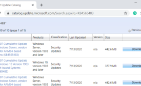 KB4565483 Windows 10 1909 and 1903 Update Pic 1