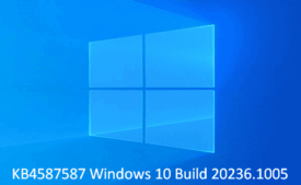 KB4587587 Windows 10 Build 20236.1005