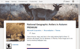 National Geographic Antlers in Autumn PREMIUM Windows 10 Theme [Download]