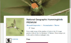 National Geographic Hummingbirds PREMIUM Windows 10 Theme [Download]