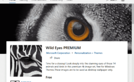 Wild Eyes PREMIUM Windows 10 Theme [Download]