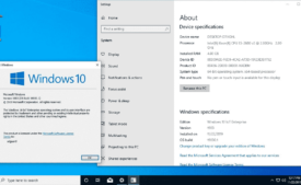 Windows 10 Build 19030 [20H1] is Out with Features for Cortana