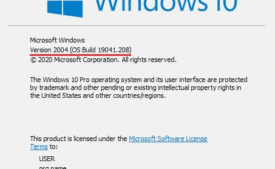 Windows 10 Build 19041.208