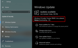 Windows 10 Build 19628 20H2