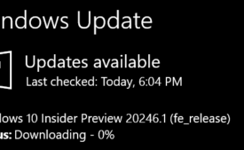 Windows 10 Build 20246