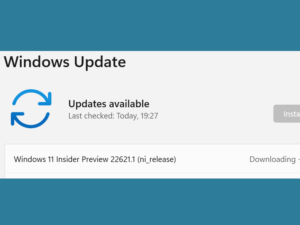 windows 11 insider build download