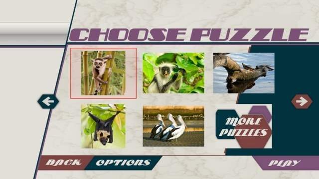 HexSaw Zoo Windows 8 App - Play Interesting Jigsaw Puzzle